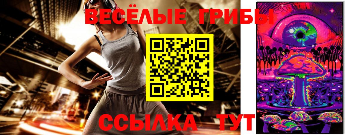 цена   Вход с VPN  Ачхой-Мартан  Псилоцибиновые грибы мухоморы 