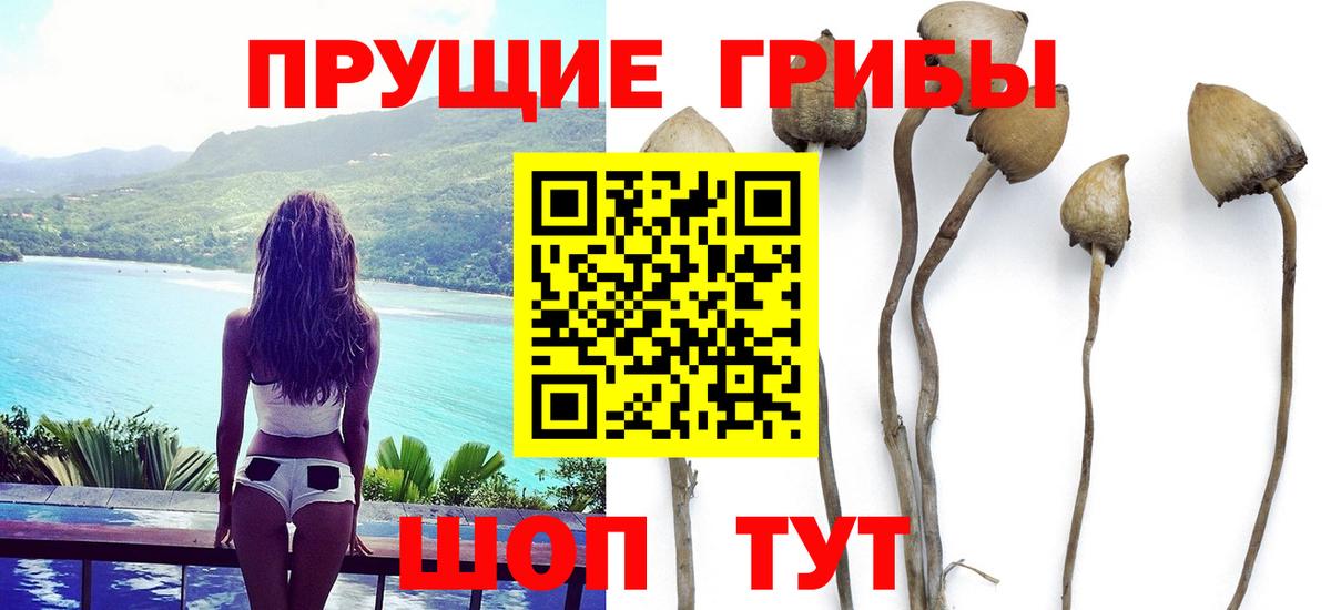 Псилоцибиновые грибы мухоморы Ачхой-Мартан